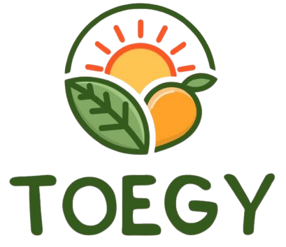 toegy